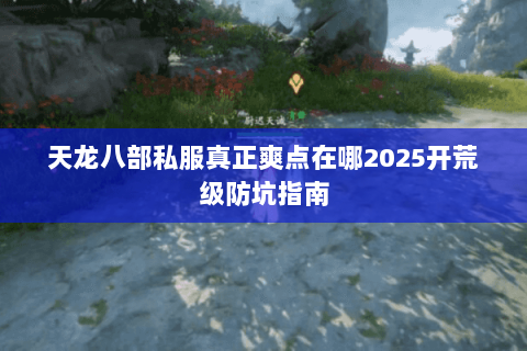 天龙八部私服真正爽点在哪2025开荒级防坑指南 天龙八部私服真正爽点在哪2025开荒级防坑指南