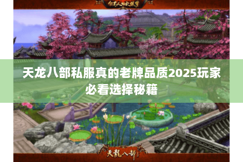 天龙八部私服真的老牌品质2025玩家必看选择秘籍 天龙八部私服真的老牌品质2025玩家必看选择秘籍