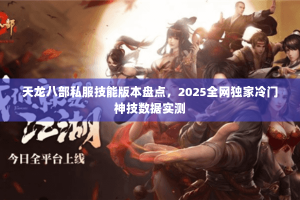 天龙八部私服技能版本盘点,2025全网独家冷门神技数据实测 天龙八部私服技能版本盘点,2025全网独家冷门神技数据实测
