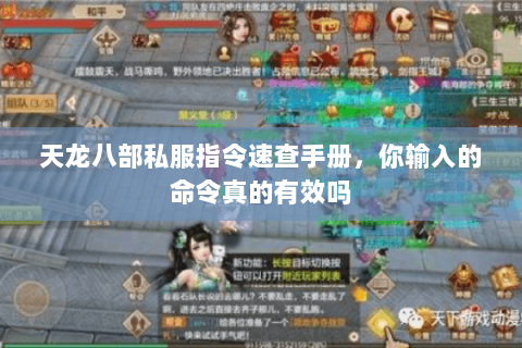 天龙八部私服指令速查手册,你输入的命令真的有效吗 天龙八部私服指令速查手册,你输入的命令真的有效吗
