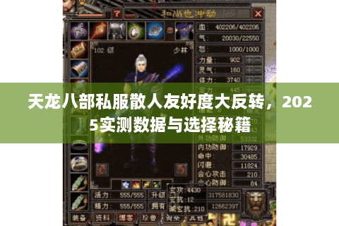 天龙八部私服散人友好度大反转,2025实测数据与选择秘籍 天龙八部私服散人友好度大反转,2025实测数据与选择秘籍