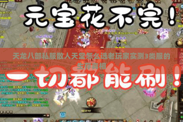 天龙八部私服散人天堂怎么选老玩家实测3类服的生存真相 天龙八部私服散人天堂怎么选老玩家实测3类服的生存真相