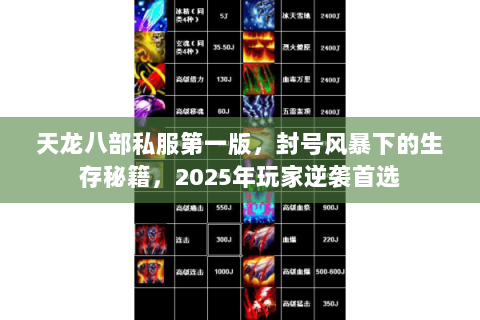 天龙八部私服第一版，封号风暴下的生存秘籍，2025年玩家逆袭首选