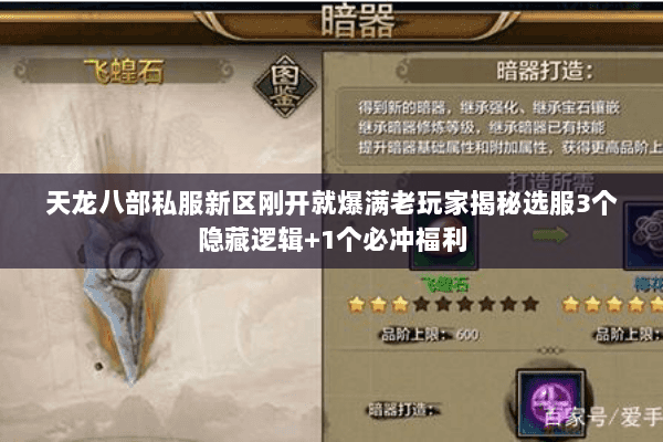 天龙八部私服新区刚开就爆满老玩家揭秘选服3个隐藏逻辑+1个必冲福利 天龙八部私服新区刚开就爆满老玩家揭秘选服3个隐藏逻辑+1个必冲福利