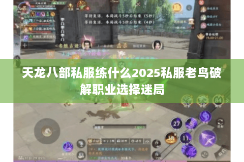 天龙八部私服练什么2025私服老鸟破解职业选择迷局 天龙八部私服练什么2025私服老鸟破解职业选择迷局