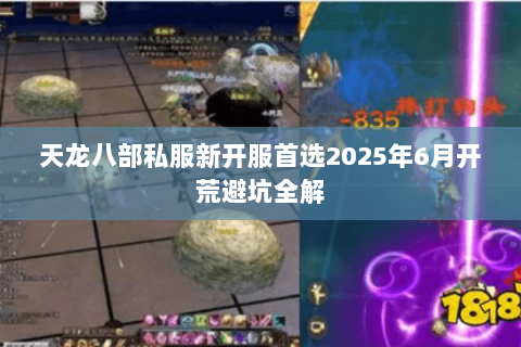 天龙八部私服新开服首选2025年6月开荒避坑全解 天龙八部私服新开服首选2025年6月开荒避坑全解