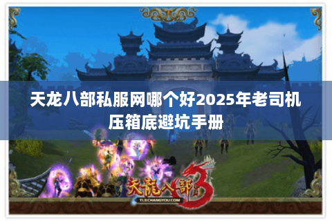 天龙八部私服网哪个好2025年老司机压箱底避坑手册