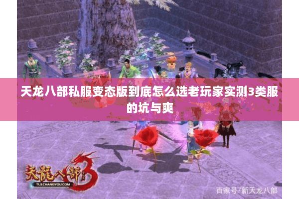 天龙八部私服变态版到底怎么选老玩家实测3类服的坑与爽 天龙八部私服变态版到底怎么选老玩家实测3类服的坑与爽