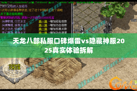天龙八部私服口碑爆雷vs隐藏神服2025真实体验拆解 天龙八部私服口碑爆雷vs隐藏神服2025真实体验拆解