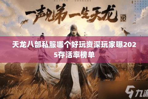 天龙八部私服哪个好玩资深玩家曝2025存活率榜单 天龙八部私服哪个好玩资深玩家曝2025存活率榜单