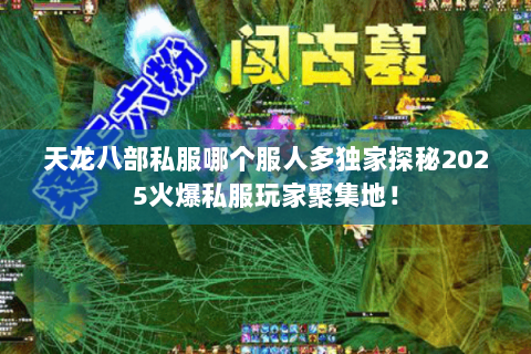 天龙八部私服哪个服人多独家探秘2025火爆私服玩家聚集地! 天龙八部私服哪个服人多独家探秘2025火爆私服玩家聚集地!
