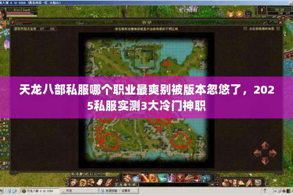 天龙八部私服哪个职业最爽别被版本忽悠了,2025私服实测3大冷门神职 天龙八部私服哪个职业最爽别被版本忽悠了,2025私服实测3大冷门神职