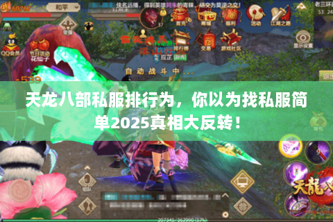 天龙八部私服排行为,你以为找私服简单2025真相大反转! 天龙八部私服排行为,你以为找私服简单2025真相大反转!