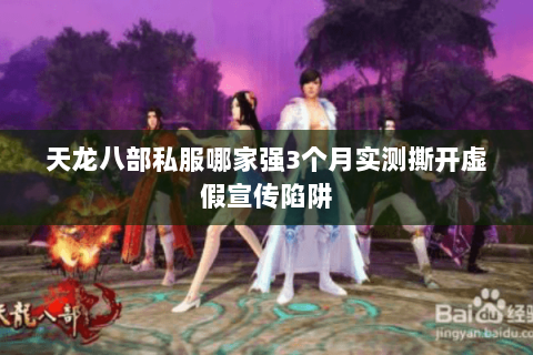 天龙八部私服哪家强3个月实测撕开虚假宣传陷阱 天龙八部私服哪家强3个月实测撕开虚假宣传陷阱