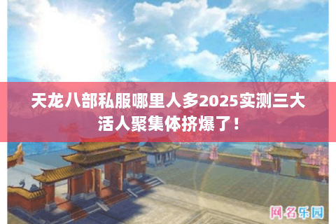 天龙八部私服哪里人多2025实测三大活人聚集体挤爆了! 天龙八部私服哪里人多2025实测三大活人聚集体挤爆了!