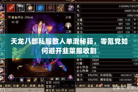 天龙八部私服散人单混秘籍,零氪党如何避开韭菜服收割 天龙八部私服散人单混秘籍,零氪党如何避开韭菜服收割