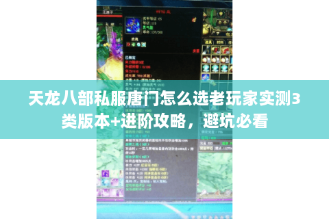 天龙八部私服唐门怎么选老玩家实测3类版本+进阶攻略,避坑必看 天龙八部私服唐门怎么选老玩家实测3类版本+进阶攻略,避坑必看
