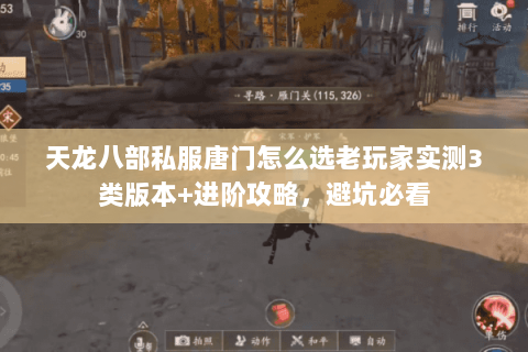 天龙八部私服唐门怎么选老玩家实测3类版本+进阶攻略,避坑必看 天龙八部私服唐门怎么选老玩家实测3类版本+进阶攻略,避坑必看