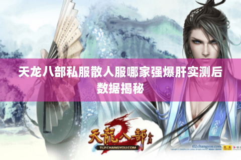 天龙八部私服散人服哪家强爆肝实测后数据揭秘 天龙八部私服散人服哪家强爆肝实测后数据揭秘