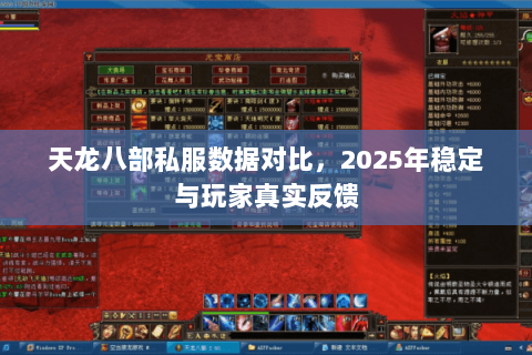 天龙八部私服数据对比,2025年稳定与玩家真实反馈 天龙八部私服数据对比,2025年稳定与玩家真实反馈