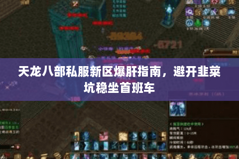 天龙八部私服新区爆肝指南,避开韭菜坑稳坐首班车 天龙八部私服新区爆肝指南,避开韭菜坑稳坐首班车