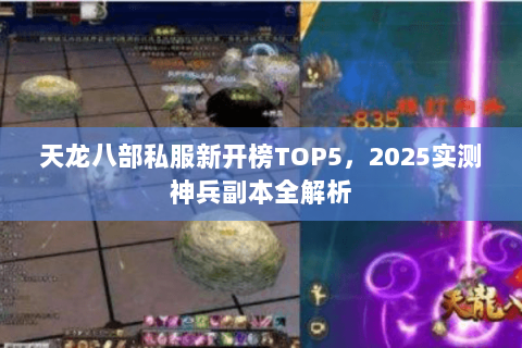 天龙八部私服新开榜TOP5,2025实测神兵副本全解析 天龙八部私服新开榜TOP5,2025实测神兵副本全解析
