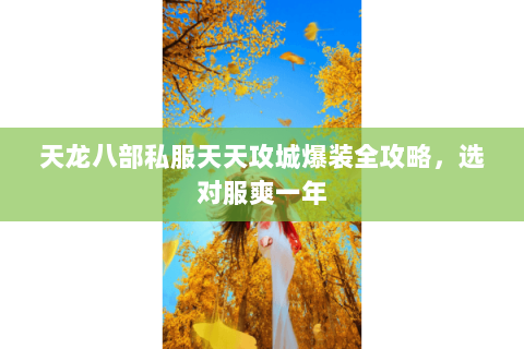 天龙八部私服天天攻城爆装全攻略,选对服爽一年 天龙八部私服天天攻城爆装全攻略,选对服爽一年