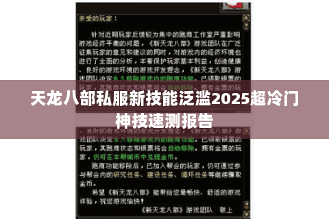 天龙八部私服新技能泛滥2025超冷门神技速测报告 天龙八部私服新技能泛滥2025超冷门神技速测报告