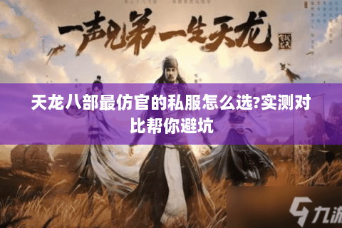 天龙八部最仿官的私服怎么选?实测对比帮你避坑 天龙八部最仿官的私服怎么选?实测对比帮你避坑