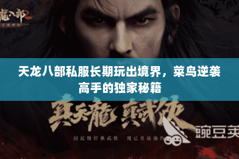 天龙八部私服长期玩出境界,菜鸟逆袭高手的独家秘籍 天龙八部私服长期玩出境界,菜鸟逆袭高手的独家秘籍