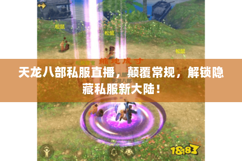 天龙八部私服直播,颠覆常规,解锁隐藏私服新大陆! 天龙八部私服直播,颠覆常规,解锁隐藏私服新大陆!