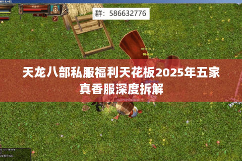 天龙八部私服福利天花板2025年五家真香服深度拆解 天龙八部私服福利天花板2025年五家真香服深度拆解