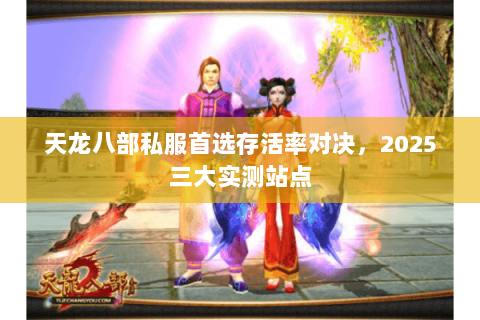 天龙八部私服首选存活率对决,2025三大实测站点 天龙八部私服首选存活率对决,2025三大实测站点