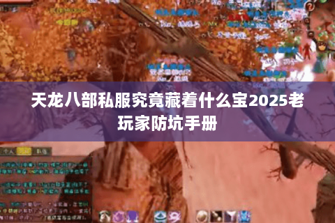 天龙八部私服究竟藏着什么宝2025老玩家防坑手册 天龙八部私服究竟藏着什么宝2025老玩家防坑手册