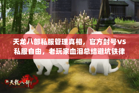 天龙八部私服管理真相,官方封号VS私服自由,老玩家血泪总结避坑铁律 天龙八部私服管理真相,官方封号VS私服自由,老玩家血泪总结避坑铁律
