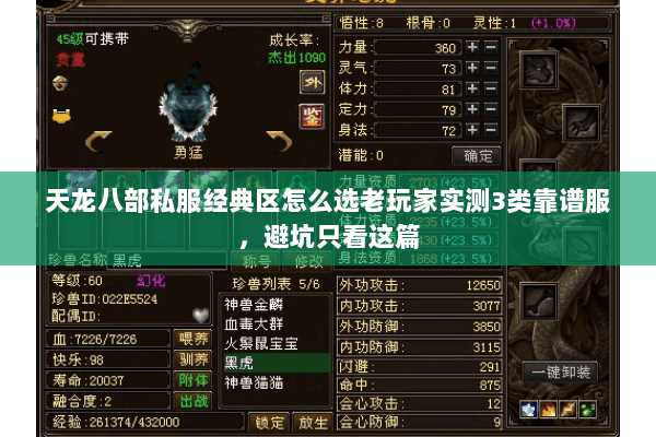 天龙八部私服经典区怎么选老玩家实测3类靠谱服,避坑只看这篇 天龙八部私服经典区怎么选老玩家实测3类靠谱服,避坑只看这篇