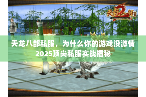 天龙八部私服,为什么你的游戏没激情2025顶尖私服实战揭秘 天龙八部私服,为什么你的游戏没激情2025顶尖私服实战揭秘