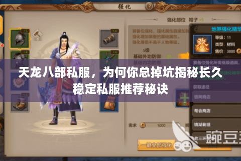 天龙八部私服,为何你总掉坑揭秘长久稳定私服推荐秘诀 天龙八部私服,为何你总掉坑揭秘长久稳定私服推荐秘诀