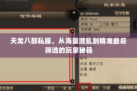 天龙八部私服,从海量混乱到精准最后筛选的玩家秘籍 天龙八部私服,从海量混乱到精准最后筛选的玩家秘籍