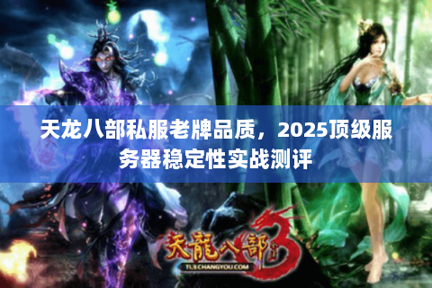 天龙八部私服老牌品质，2025顶级服务器稳定性实战测评