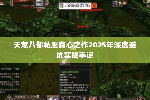 天龙八部私服良心之作2025年深度避坑实战手记 天龙八部私服良心之作2025年深度避坑实战手记