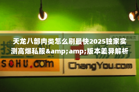 天龙八部肉类怎么刷最快2025独家实测高爆私服&amp;版本差异解析