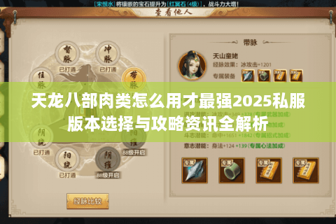 天龙八部肉类怎么用才最强2025私服版本选择与攻略资讯全解析