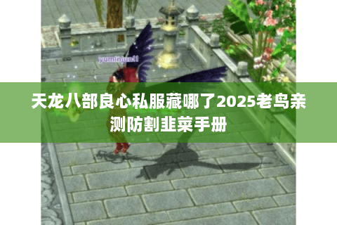 天龙八部良心私服藏哪了2025老鸟亲测防割韭菜手册 天龙八部良心私服藏哪了2025老鸟亲测防割韭菜手册