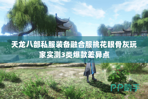 天龙八部私服装备融合服挑花眼骨灰玩家实测3类爆款差异点 天龙八部私服装备融合服挑花眼骨灰玩家实测3类爆款差异点