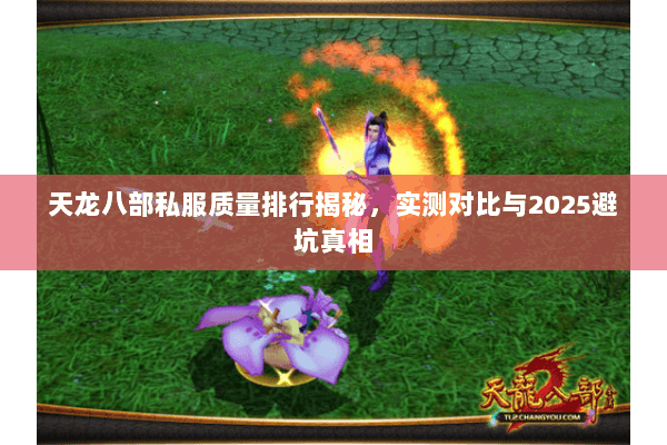 天龙八部私服质量排行揭秘,实测对比与2025避坑真相 天龙八部私服质量排行揭秘,实测对比与2025避坑真相