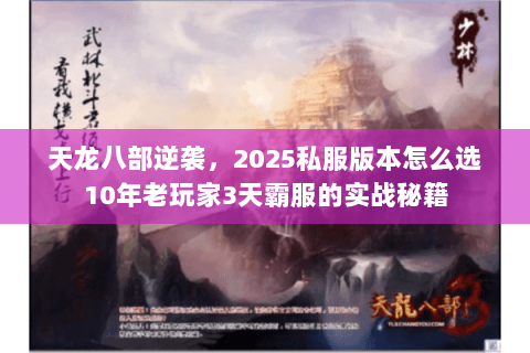 天龙八部逆袭,2025私服版本怎么选10年老玩家3天霸服的实战秘籍 天龙八部逆袭,2025私服版本怎么选10年老玩家3天霸服的实战秘籍