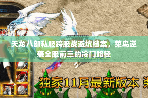 天龙八部私服跨服战避坑档案，菜鸟逆袭全服前三的冷门路径