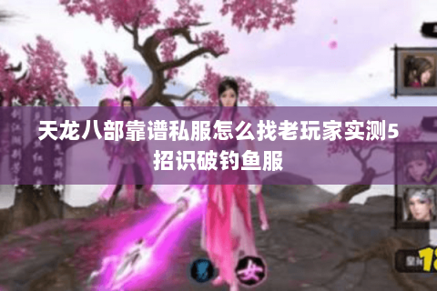 天龙八部靠谱私服怎么找老玩家实测5招识破钓鱼服 天龙八部靠谱私服怎么找老玩家实测5招识破钓鱼服