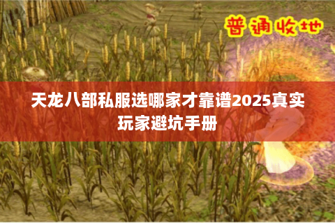 天龙八部私服选哪家才靠谱2025真实玩家避坑手册 天龙八部私服选哪家才靠谱2025真实玩家避坑手册